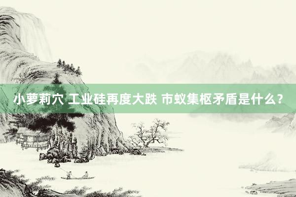 小萝莉穴 工业硅再度大跌 市蚁集枢矛盾是什么？