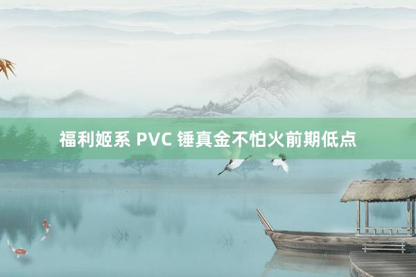 福利姬系 PVC 锤真金不怕火前期低点