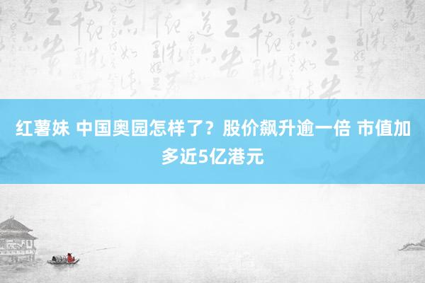 红薯妹 中国奥园怎样了？股价飙升逾一倍 市值加多近5亿港元