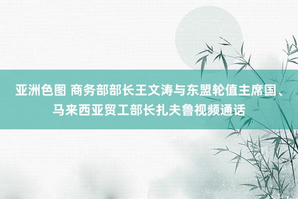 亚洲色图 商务部部长王文涛与东盟轮值主席国、马来西亚贸工部长扎夫鲁视频通话