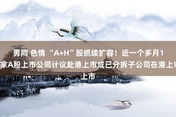 男同 色情 “A+H”股抓续扩容！近一个多月14家A股上市公司计议赴港上市或已分拆子公司在港上市